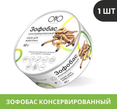 Зофобас консервированный (Zophobas morio), 40 гр – фото 3