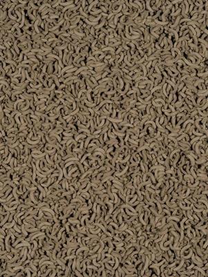 Корм для черепах ReptoMin Sticks в виде палочек для водных черепах 1000мл – фото 8