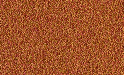 Корм для рыб Cichlid Colour Mini для всех видов цихлид для улучшения окраса 500мл – фото 1