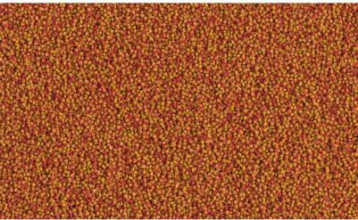 Корм для рыб Cichlid Colour Mini для всех видов цихлид для улучшения окраса 500мл – фото 2