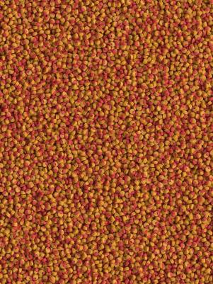 Корм для рыб Cichlid Colour Mini для всех видов цихлид для улучшения окраса 500мл – фото 4