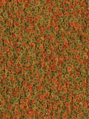 Корм для рыб PRO Energy корм-чипсы для всех видов рыб для доп.энергии 250мл – фото 6