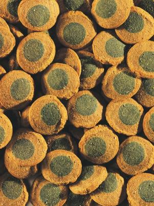 Корм Pleco Algae Wafers пластинки для всех видов травоядных донных рыб 250мл – фото 7