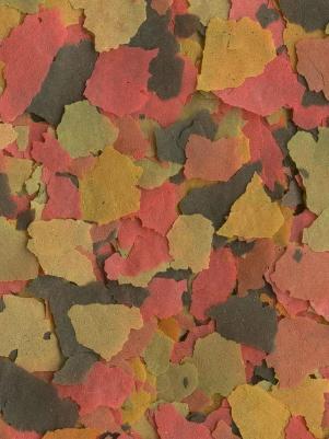 XL корм для всех видов рыб крупные хлопья 500 мл – фото 17