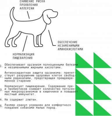 полнорационный сухой корм с гречкой для взрослых собак миниатюрных и малых пород, склонных к аллергиям – фото 1