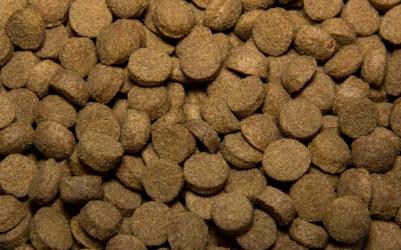 Сухой корм для собак, с говядиной и овощами, 2,2 кг – фото 11