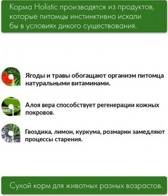 Корм для собак Equilibrium Sensitive для средних и крупных пород, ягненок,океан.рыба сух.12кг – фото 2