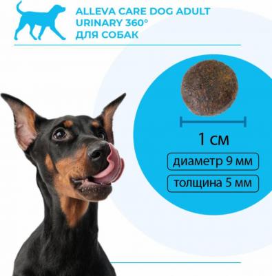 Сухой корм для собак Care Dog Urinary 360 от струвитных камней, с рыбой, 2 кг – фото 11