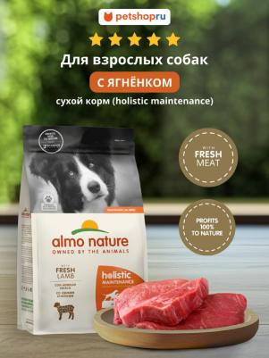 hOLISTIC Сухой корм для взрослых собак со свежим ягненком, Life Maintenance, All Breed, Fresh Lamb – фото 4