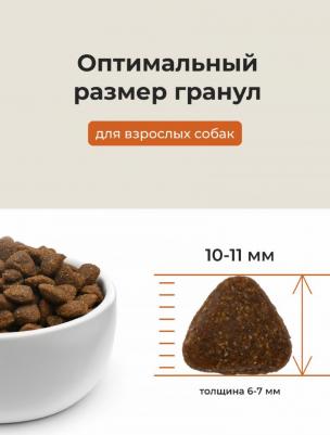 Корм для собак Holistic, ягненок, с рисом 1 уп. х 1 шт. х 2000 г – фото 4