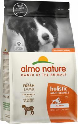 Корм для собак Holistic, ягненок, с рисом 1 уп. х 1 шт. х 2000 г – фото 8