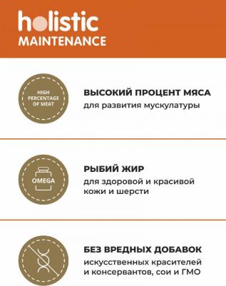 Корм для собак Holistic, ягненок, с рисом 1 уп. х 1 шт. х 2000 г – фото 10