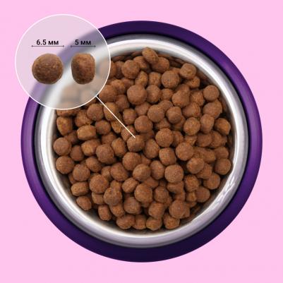 Adult Small Сухой корм для взрослых собак мелких пород, с ягненком и рисом, 400 гр – фото 2