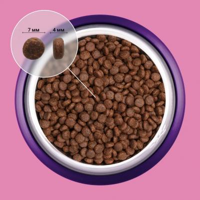 Puppy Small Сухой корм для щенков мелких пород, с курицей, 1,5 кг – фото 6