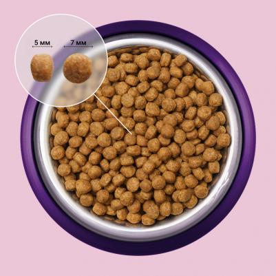 Сухой корм на основе свежего мяса для собак мелких пород, с индейкой,1,5 кг – фото 4