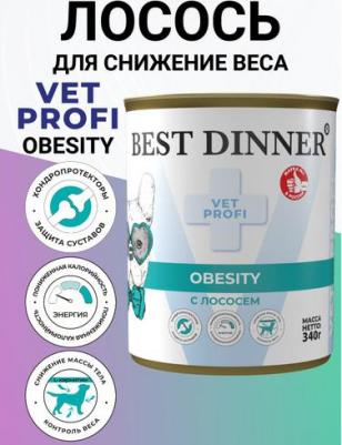 Влажный корм Vet Profi Obesity с лососем лечебный для собак 340 г – фото 1