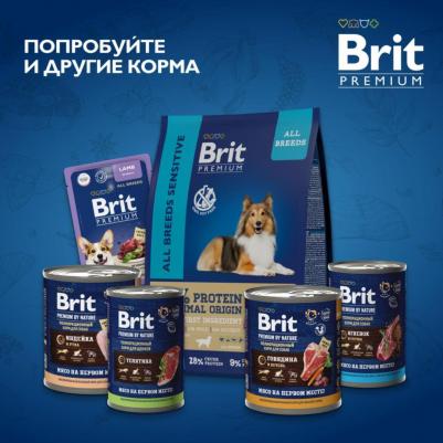 Dog Adult Large and Giant с курицей для взрослых собак крупных и гигантских пород – фото 1