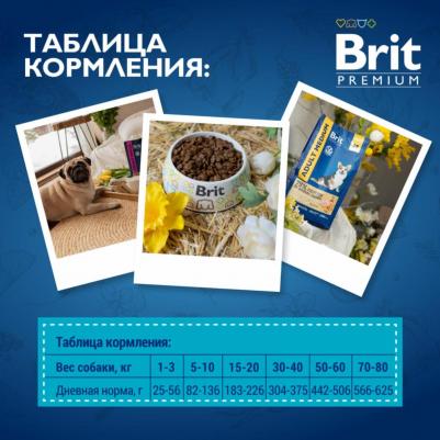 Dog Sensitive сухой корм для собак с чувствительным пищеварениемс ягненком и индейкой 8кг – фото 20