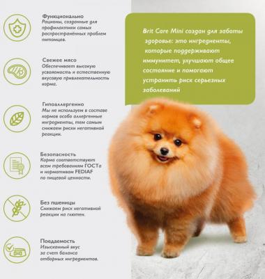 Mini, Сухой корм с инд. для вз. cоб. мин. п, "Adult. Healthy Skin&Shiny Coat",0.4кг – фото 3