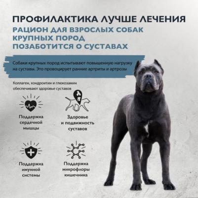 Сухой корм для собак крупных пород Dog Adult Large Chondroprotectors, здоровье костей и суставов, с индейкой и уткой 12 кг – фото 13