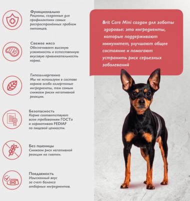 Сухой корм для собак Mini Adult Delicious, с уткой и индейкой, 1,5 кг – фото 1