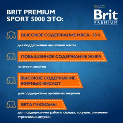 Сухой корм для собак Sport 5000, для взрослых, с курицей, 3 кг – фото 2