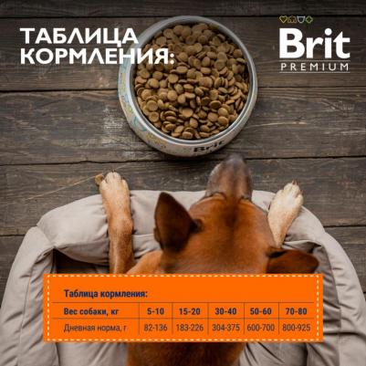 Сухой корм для собак Sport 5000, для взрослых, с курицей, 3 кг – фото 3