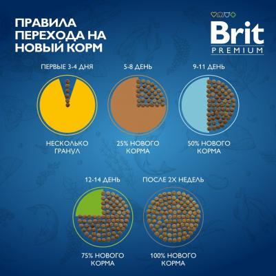 Сухой корм для средних собак Dog с индейкой и телятиной, 8 кг – фото 10
