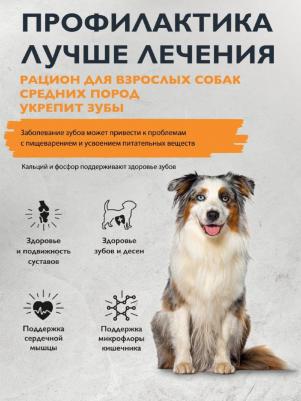 Сухой корм супер-премиум с индейкой для взрослых собак средних пород "Dog Adult M Dental Health" 3 кг – фото 14