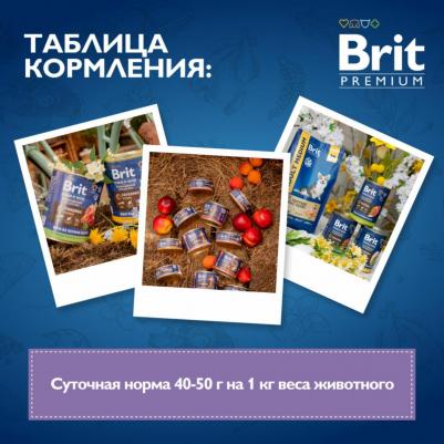 Влажный корм для собак by Nature для чувствительного пищеварения с ягненком и гречкой 410г – фото 10