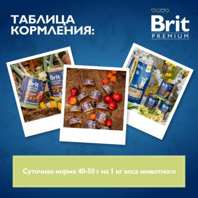 Влажный корм для собак by Nature с курицей и цукини для мелких пород 100г – фото 12