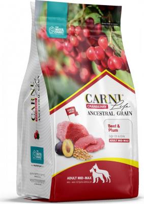 Medium Maxi сухой корм для собак средних и крупных пород говядина с черносливом и клюквой