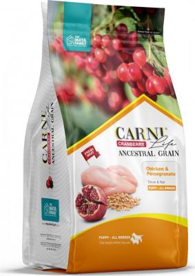 Puppy полнорационный сухой корм для щенков, кормящих и беременных собак, низкозерновой, с курицей, гранатом и клюквой - 12 кг повседневный супер