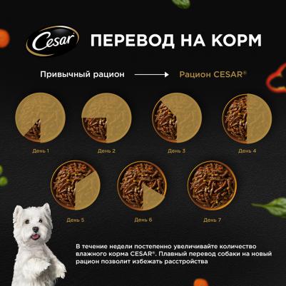 Корм для собак индейка с горохом и морковью в желе пауч 80г – фото 1