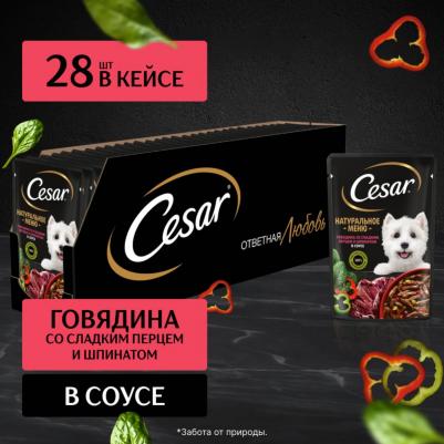 Natural Goodness влажный корм для собак, с говядиной, паприкой и шпинатом в соусе 80 гр – фото 2