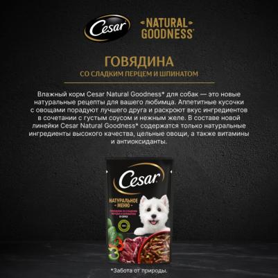 Natural Goodness влажный корм для собак, с говядиной, паприкой и шпинатом в соусе 80 гр – фото 13