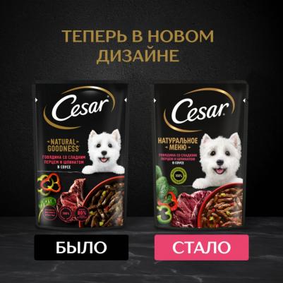 Natural Goodness влажный корм для собак, с говядиной, паприкой и шпинатом в соусе 80 гр – фото 20