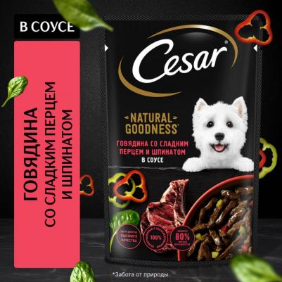 Влажный корм для собак Natural Goodness, говядина, паприка, шпинат, 28 шт по 80г – фото 5