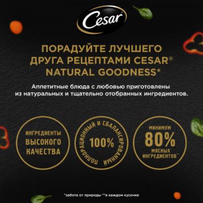 Влажный корм для собак Natural Goodness, говядина, паприка, шпинат, 28 шт по 80г – фото 9