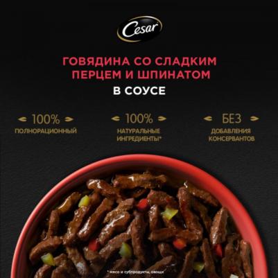 Влажный корм для собак Natural Goodness, говядина, паприка, шпинат, 28 шт по 80г – фото 11
