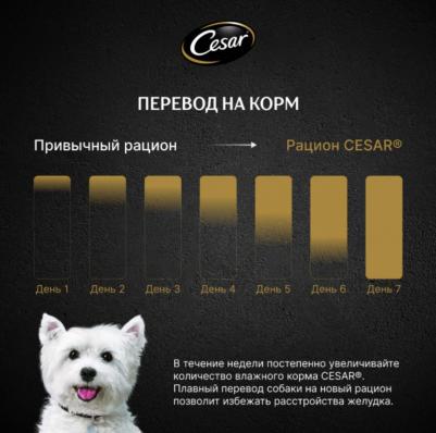 Влажный корм для собак Паштет с говядиной, 80 г – фото 17