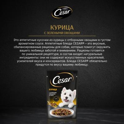 Влажный корм для взрослых собак с курицей и зелеными овощами в соусе 85г – фото 18