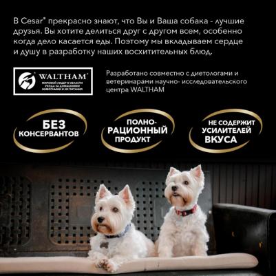 Влажный корм для взрослых собак с тушеной телятиной и овощами в желе 85г – фото 18