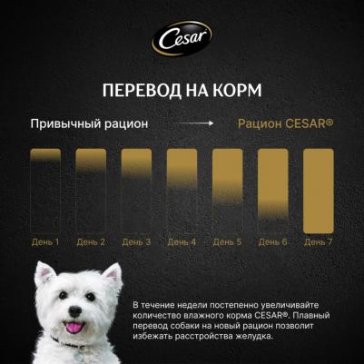 Влажный корм для взрослых собак с ягненком и овощами в соусе 85г – фото 13