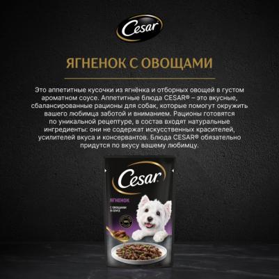 Влажный корм для взрослых собак с ягненком и овощами в соусе 85г – фото 17