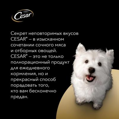 Влажный корм для взрослых собак жаркое с уткой в желе 85г – фото 6