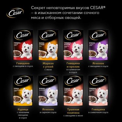 Влажный корм для взрослых собак жаркое с уткой в желе 85г – фото 19