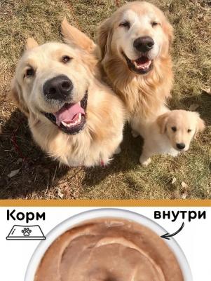 Влажный корм для собак Мусс с говядиной 0,1 кг – фото 4