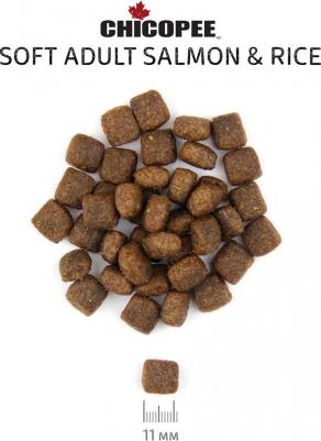 CNL Soft Adult Salmon & Rice полувлажный корм для взрослых собак всех пород с лососем и рисом – фото 1