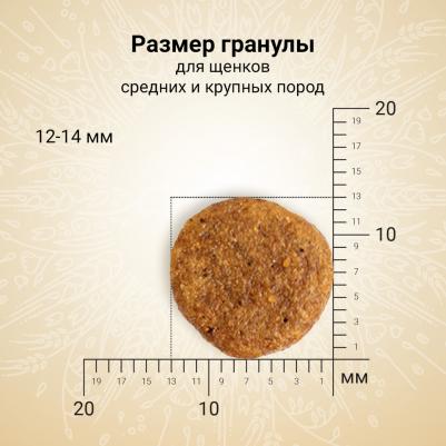 Корм для щенков Natura для средних и крупных пород, из лосося и сельди сух. 640г – фото 5